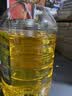 金龙鱼 食用油 非转基因 物理压榨玉米油6.18L（蕴含植物甾醇） 实拍图