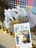 INSTAX富士instax立拍立得 mini相纸 白边双包20张(适用miniSE/11/12/40/90/LiPlay/EVO/Link3) 实拍图