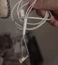 Apple/苹果 EarPods USB-C有线耳机 type-c有线耳机  iPhone 18有线耳机笔记本耳机游戏音乐 实拍图