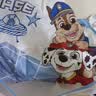 汪汪队立大功（PAW PATROL）儿童罩衣防水画画衣围裙吃饭围兜长袖幼儿园反穿衣1713蓝色S 实拍图