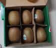 佳沛（zespri）绿奇异果特大果22-25个原箱装单果约135-176g 猕猴桃 水果 实拍图