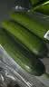 【水果菜】荷兰水果黄瓜约400g 实拍图