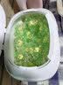 魔法媳妇山茶花洗衣凝珠5d香氛持久留香浓缩版速溶护色去污抑菌柔顺五合一 5D山茶花60颗【袋装】活动款 实拍图