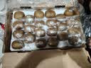 佳沛（zespri）绿奇异果特大果22-25个原箱装单果约135-176g 猕猴桃 水果 实拍图