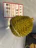 京鲜生【保5房】进口金枕鲜榴莲 4-5斤礼盒装 新鲜水果源头直发 实拍图