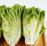 【烧烤季】钟灵山罗马生菜400g 实拍图