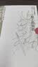 卡尔维诺经典：树上的男爵（新版） 王小波盛誉的完美作品 实拍图