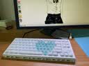 卓威ZOWIE G-SR-SE II 曦 电竞鼠标垫 细面鼠标垫 fps游戏鼠标垫 gsrse控制垫 滑垫 电竞桌垫（随机发货） 实拍图