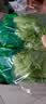 【烧烤季】钟灵山罗马生菜400g 实拍图