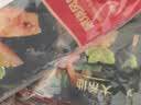 大希地照烧味鱼排500g 无骨无刺低脂肪高蛋白轻食 罗非鱼鱼柳鱼片 实拍图
