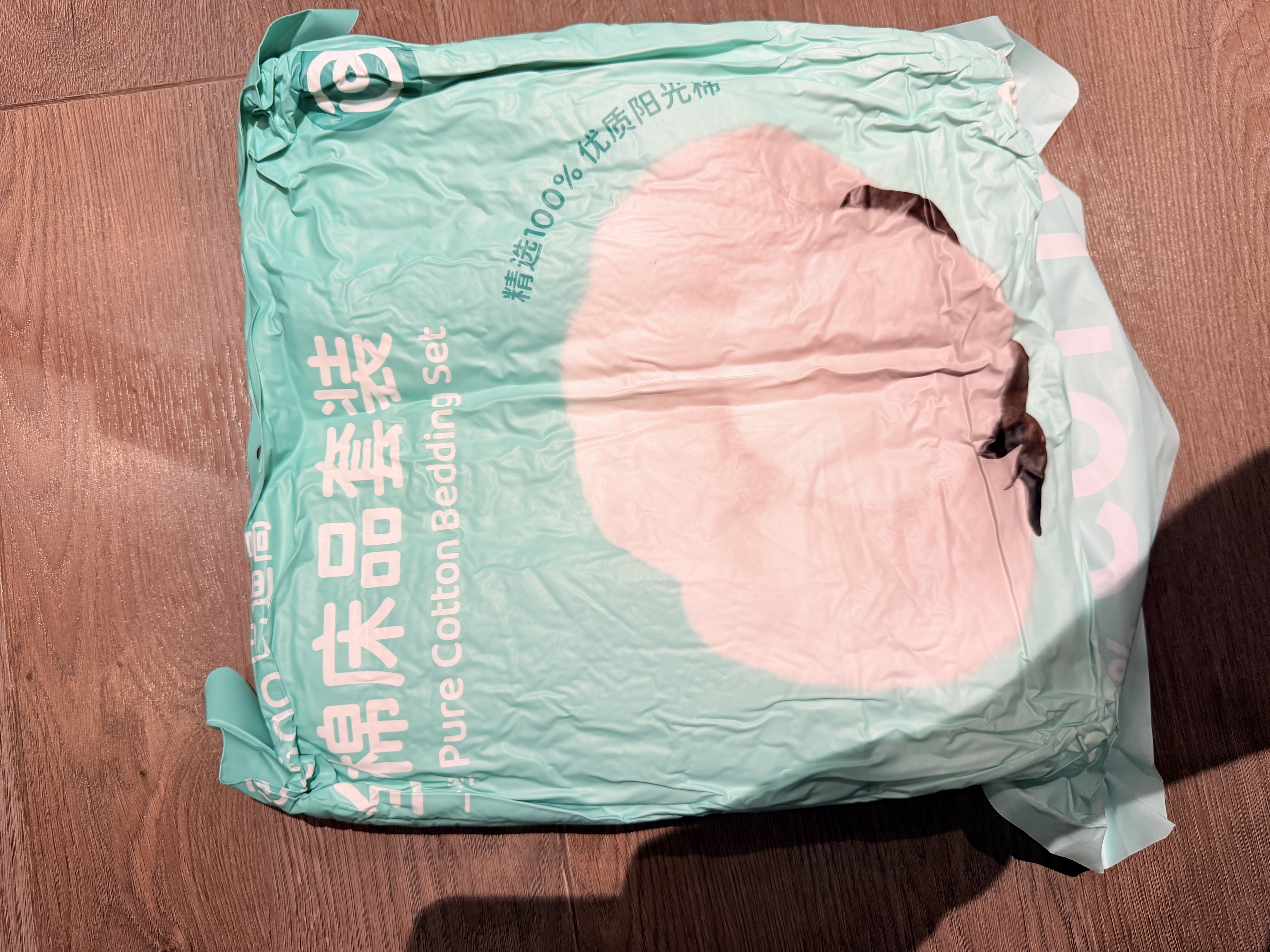 巴迪高一次性四件套100%纯棉床单被罩枕套被套床上旅行酒店全棉加厚隔脏 实拍图