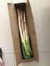 【东东农场专供】新鲜山东铁杆大葱脆嫩多汁绿色蔬菜生鲜超市批发 带老皮去半叶含箱重4斤净重3.5斤 实拍图