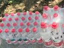 农夫山泉 饮用水 饮用天然水550ml*24瓶 整箱装 塑膜 随机发货 实拍图