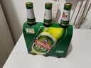 青岛啤酒（TsingTao）经典啤酒 600ml*12瓶 升级大容量 整箱装 实拍图