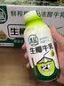 清蓝生椰牛乳300ml*8瓶鲜榨椰汁营养早餐奶动植物蛋白秋冬饮品饮料 实拍图
