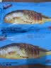 海名威 冷冻黄花鱼700g/2条 宁德大黄鱼 海鱼 生鲜鱼类 海鲜水产 国庆 实拍图