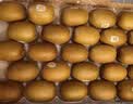 佳沛（zespri）新西兰金奇异果16粒经典果88-103g猕猴桃水果礼盒 实拍图