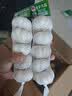 金乡大蒜【一餐一袋 氮气锁鲜】新鲜蒜米蒜瓣剥皮去皮新鲜商用山东紫皮蒜 金乡大蒜 蒜米量贩装 净重1kg 实拍图