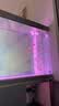 森森（SUNSUN）大型鱼缸底过滤水族箱客厅家用落地玻璃生态金鱼缸 【实时温显+灯控】纳米灰 1.2米长35cm宽 实拍图