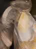 美德乐（Medela）吸奶器电动吸奶器双边吸乳器母乳集奶器挤奶器丝韵·翼舒悦版 实拍图