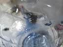 拜杰纯净水桶 食品级PC桶装水桶 矿泉水桶水桶手提户外桶 大容量19L 实拍图