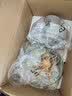 苏泊尔（SUPOR）绞肉机家用电动 悬浮双刀 加厚玻璃多能料理机 绞馅机碎肉搅肉机切菜辅食JR75S-XF 实拍图