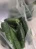 京鲜生 山东童年旱黄瓜 净重5斤 单果100g+ 水果小青瓜 轻食 源头直发 实拍图