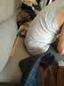 宜而爽【100%全棉 3件装】背心男士罗纹纯棉运动打底内衣 实拍图