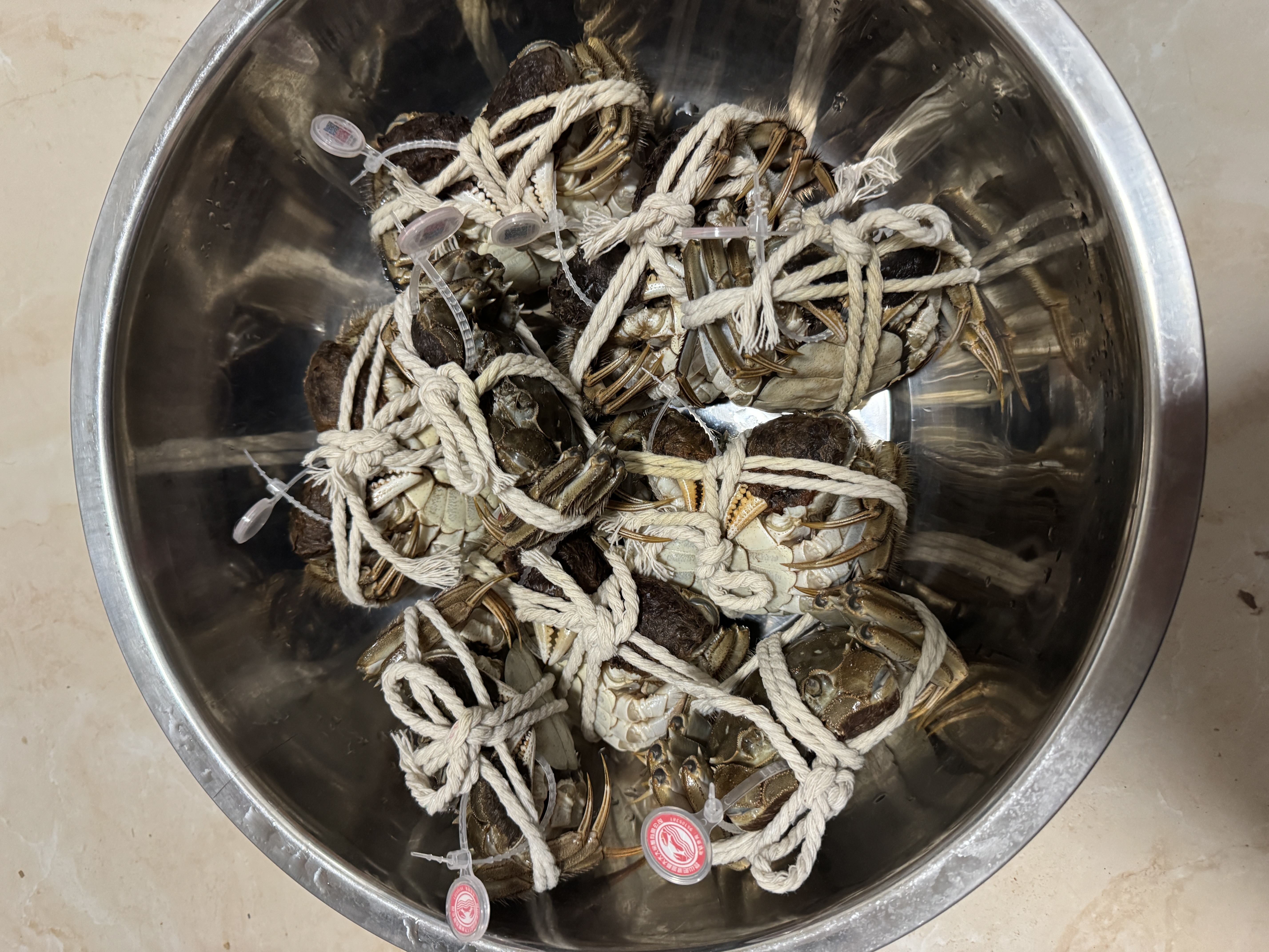 【活蟹】阳澄佳缘大闸蟹 现货鲜活大螃蟹公母蟹 海鲜水产生鲜礼盒 公4.0-4.3两母3.0-3.3两5对10只 实拍图