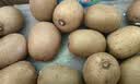 京觅蒲江黄心猕猴桃奇异果30枚 单果70-90g 水果产地直发 实拍图
