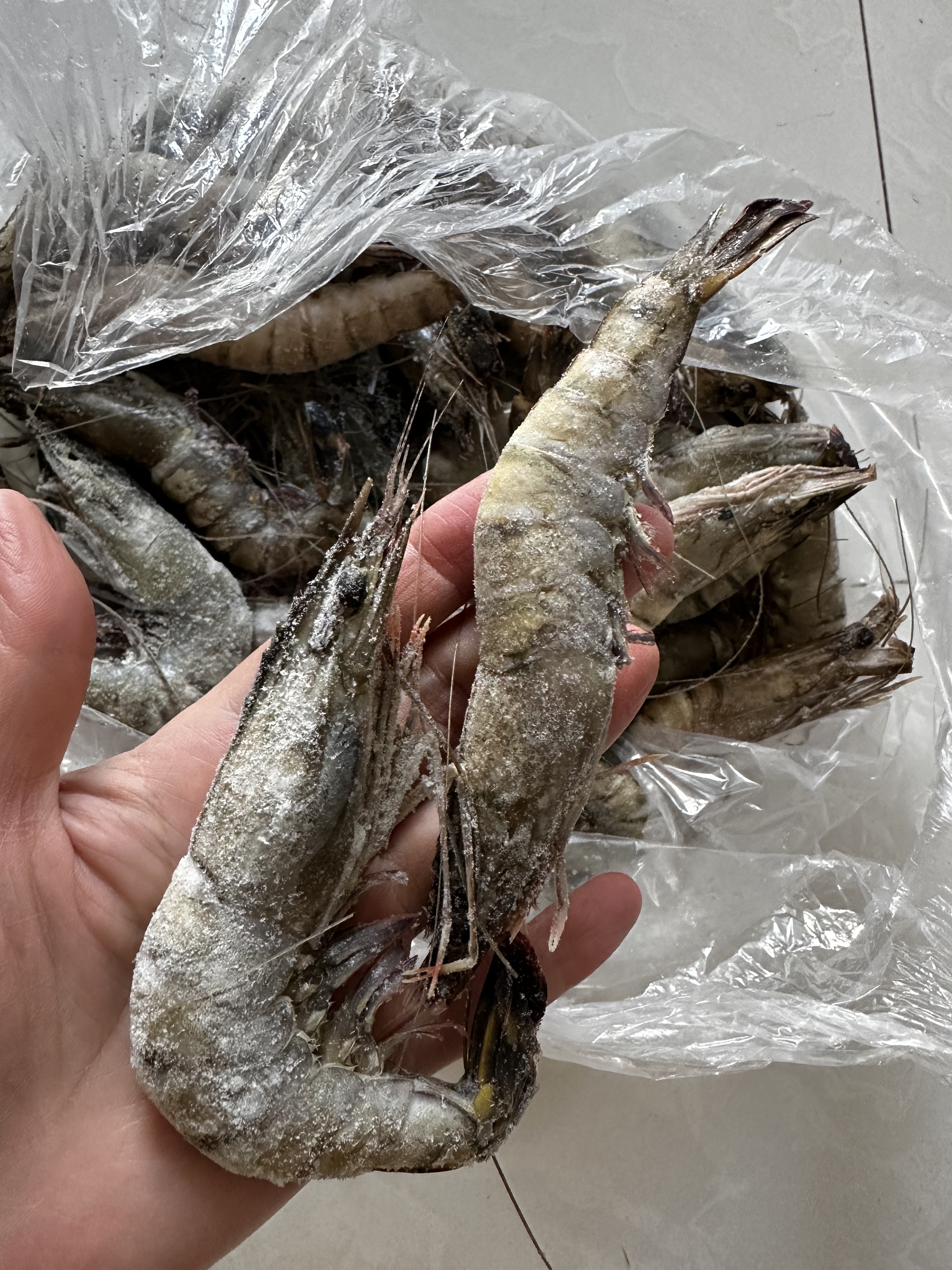 云储生活黑虎虾特大号鲜活冷冻新鲜斑节虾海虾虾类生鲜3040规格 净重2.5斤 实拍图