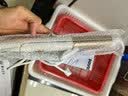 奔腾（POVOS）卷发棒卷直发器两用卷发器直发器迷你夹板刘海烫发美发电卷棒PR5073节日礼物送女友 实拍图