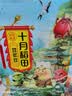 十月稻田 豆浆豆 2斤 豆浆原料 黑豆红豆黄豆 非转基因 高蛋白 早餐 代餐 实拍图