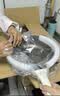 KIWICOO热销100万+钛聚力平底锅不粘锅牛排煎锅无涂层煎炒锅电磁炉燃气灶 【钛聚力煎炒锅】聚油抗凸 28cm 实拍图