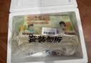 九洲丰园有机馒头520g/20个 宝宝学生食品早饭面点面食儿童早餐速冻半成品 实拍图