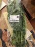 【火锅季】带根香菜100g 实拍图