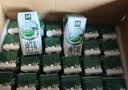伊利【新鲜日期】金典纯牛奶早餐奶250ml*16盒3.6g 礼盒装 实拍图