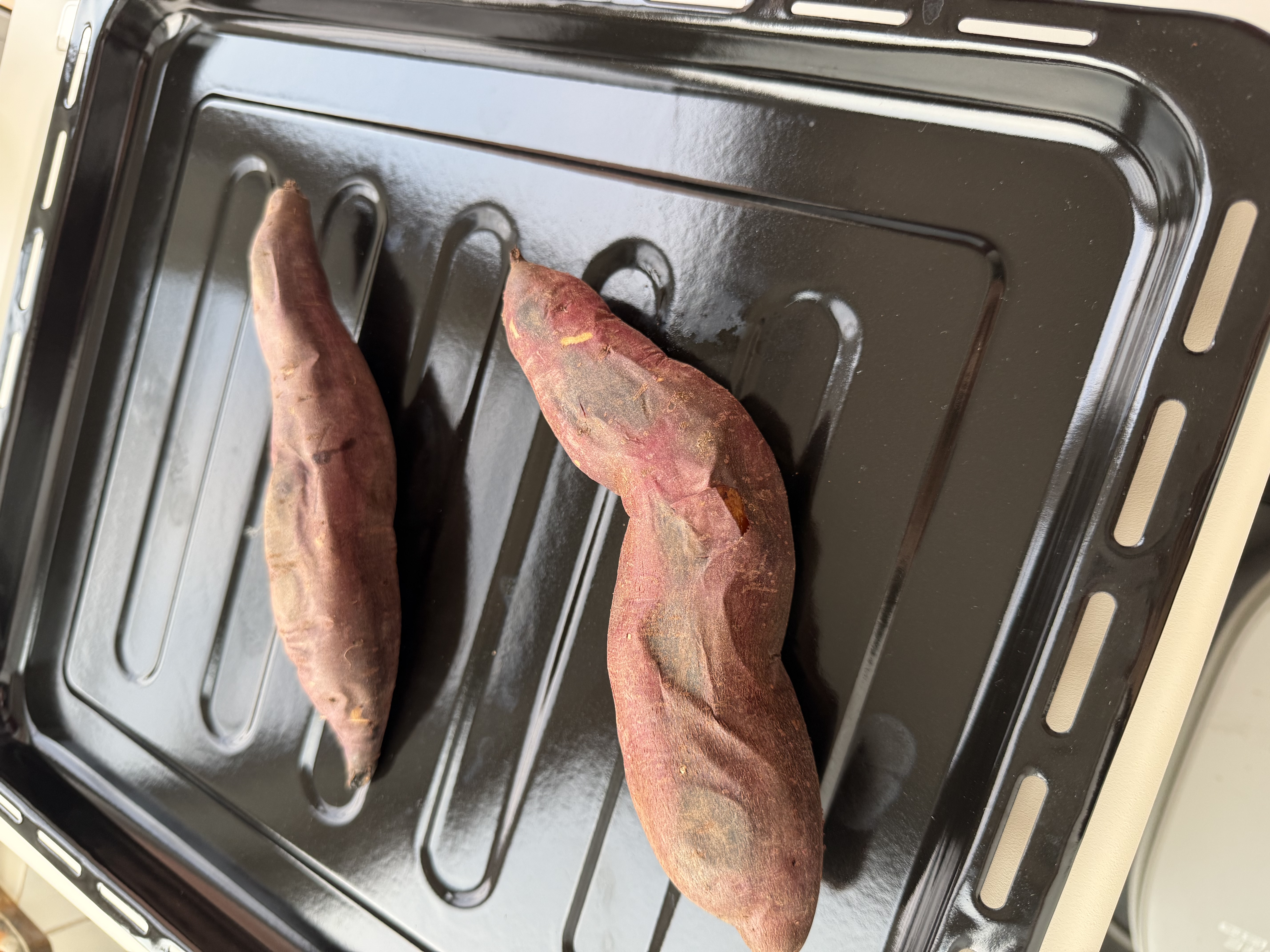 长帝（changdi）国家补贴F40大白鲸风炉电烤箱家用多功能大容量空气炸锅一体机搪瓷内胆多层同烤双11礼物 实拍图