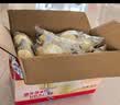 港荣蒸蛋糕奶香900g蛋糕小面包早餐零食饼干西式糕点甜品礼品盒 实拍图