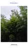 OPPO Reno15 16GB+512GB 星光蝴蝶结 2亿像素 实况拼图 5G智能小直屏学生游戏AI拍照手机 新品国家补贴 实拍图