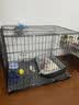 宠乐乖（CHONGLEGUAI）折叠便携狗笼猫笼狗笼子中小型犬带厕所幼犬猫笼子猫咪兔笼850ZG 实拍图