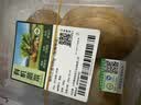 有机土豆 500g（轻微带泥） 实拍图