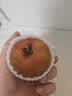 【地标好物】盘锦碱地柿子1.25kg(铁皮柿子) 实拍图