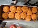 京鲜生 澳大利亚进口柑橘12粒装 单果120g起 橘子水果礼盒源头直发包邮 实拍图