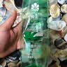 蜂花王俊凯推荐芦荟水润洗发水芦荟绿茶补水去油男女士洗发露膏500ml 实拍图