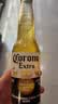 科罗娜（CORONA）特级啤酒330ml*12瓶整箱装经典拉格京东自营 实拍图