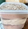 鲜达仓仓海盐芝士肉松口味奶酪罐子400g/盒蛋糕盒子动物奶油下午茶甜品 实拍图