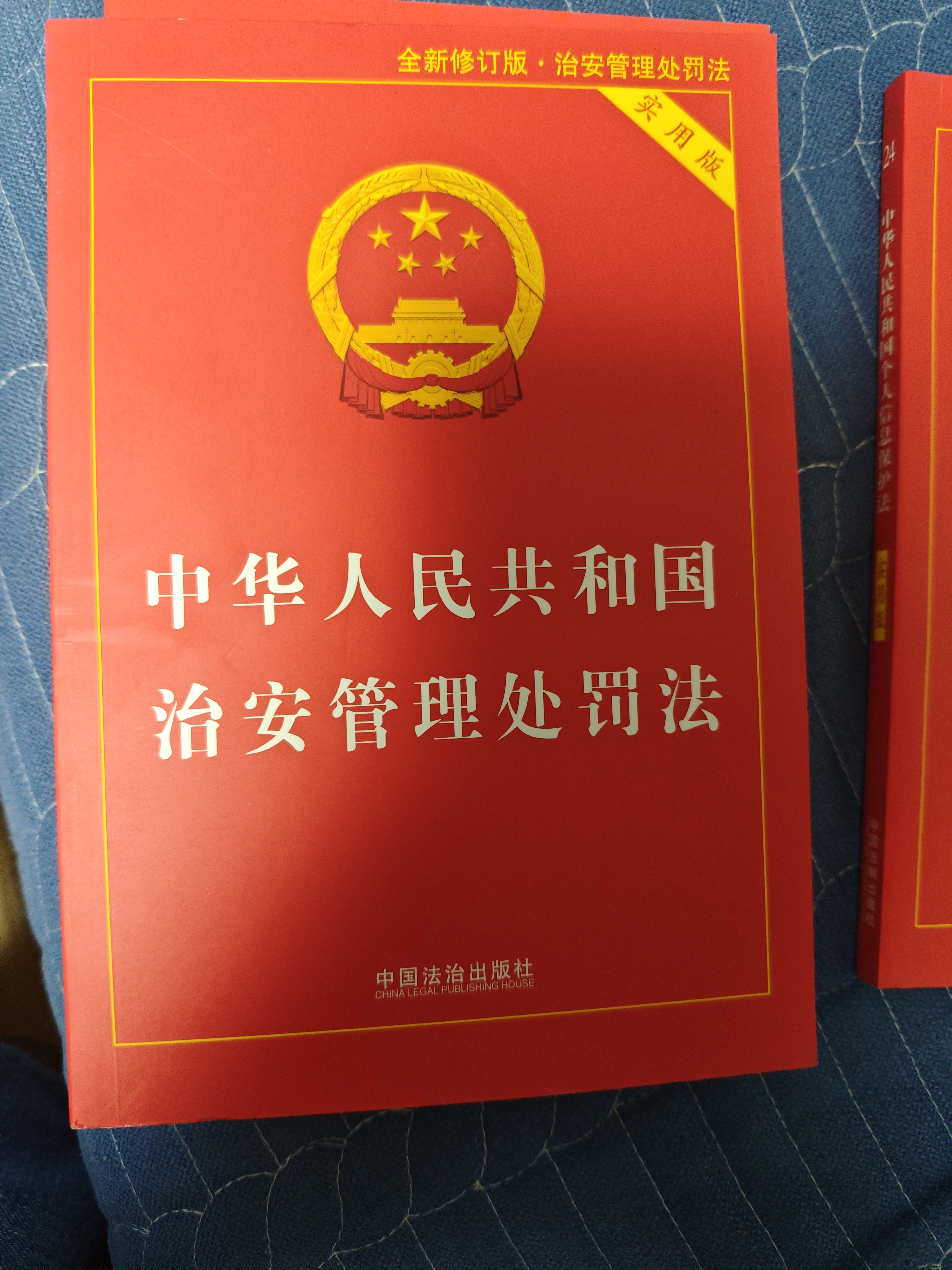 2025中华人民共和国道路交通安全法（实用版） 实拍图