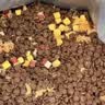 网易严选犬粮全价冻干三拼鸡肉狗粮幼犬成犬小型中大型犬10kg【宠物金选】 实拍图