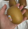 佳沛（zespri）新西兰 金奇异果特大果15粒134-146g猕猴桃水果礼盒 实拍图